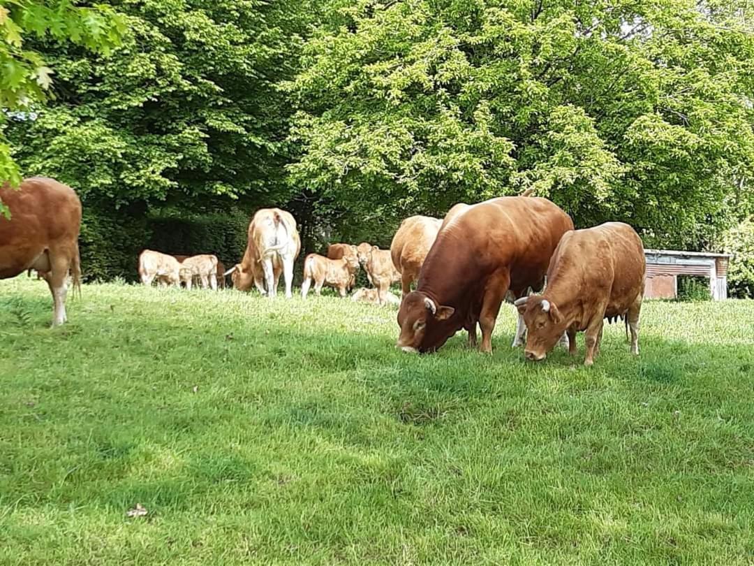 Au Bocage Parfume Gite La Cigaline Wirwignes Eksteriør bilde